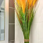 Apartman Cozy In Cannes *